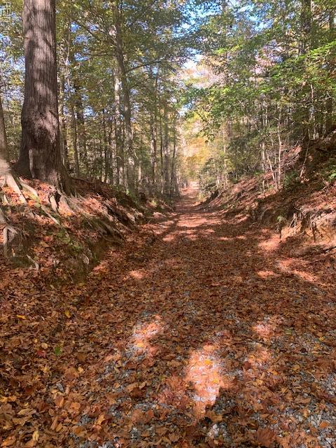 17+AC T.c. Walker Road (Off Of). Route 629 Lane Gloucester VA 23061