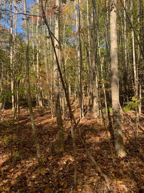 17+AC T.c. Walker Road (Off Of). Route 629 Lane Gloucester VA 23061