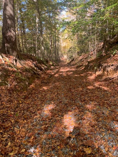 17+AC T.c. Walker Road (Off Of). Route 629 Lane Gloucester VA 23061