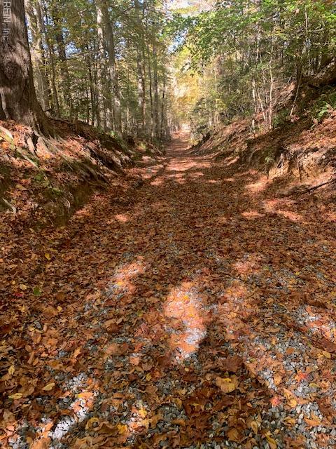 17+AC T.c. Walker Road (Off Of). Route 629 Lane Gloucester VA 23061