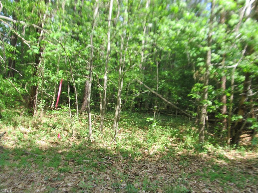 Lot 80 Poplar Springs Drive Gloucester VA 23061