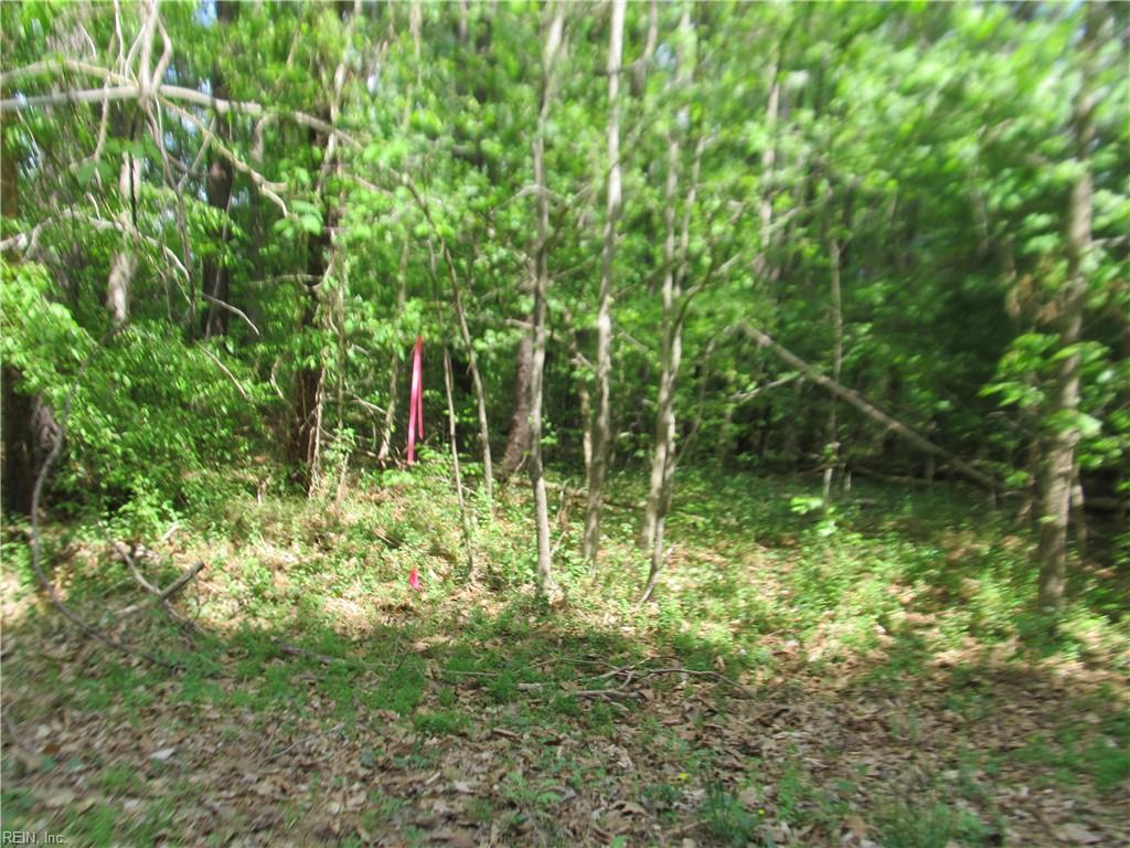 Lot 80 Poplar Springs Drive Gloucester VA 23061