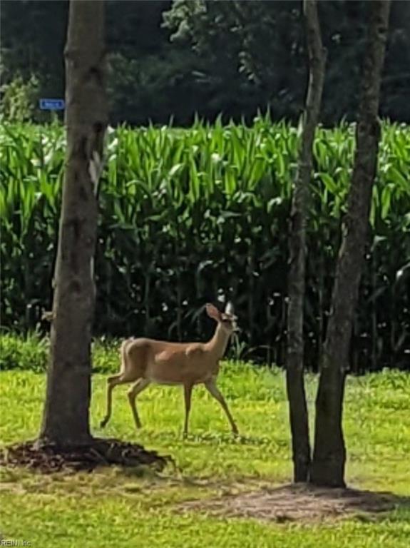 9378 Robins Neck Road Gloucester VA 23061