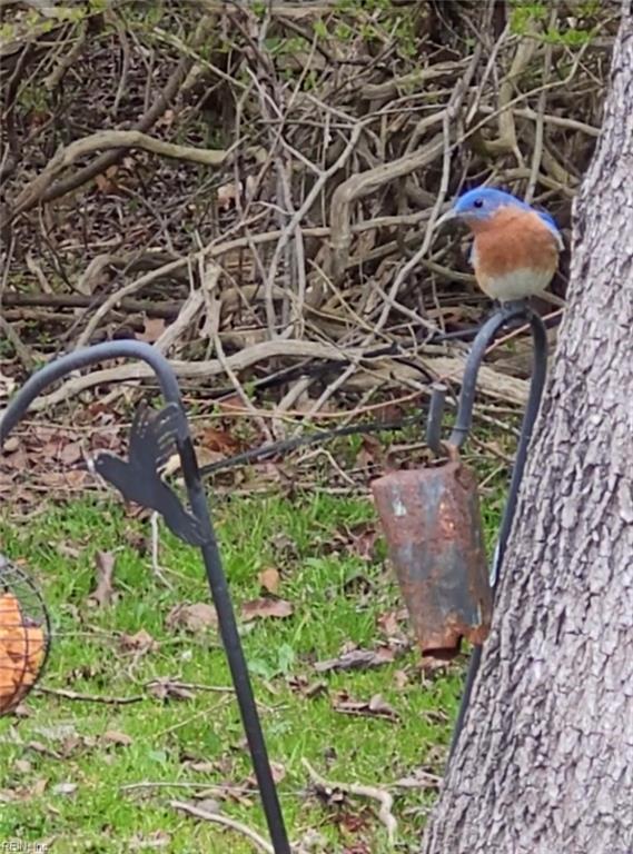 9378 Robins Neck Road Gloucester VA 23061