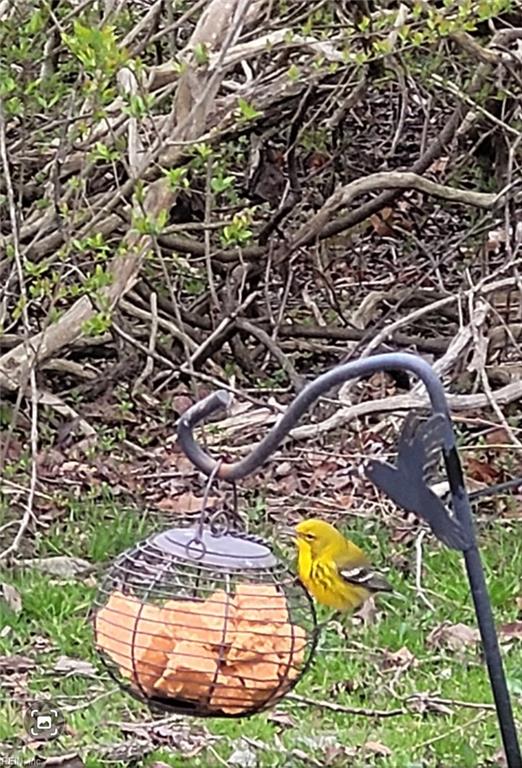 9378 Robins Neck Road Gloucester VA 23061