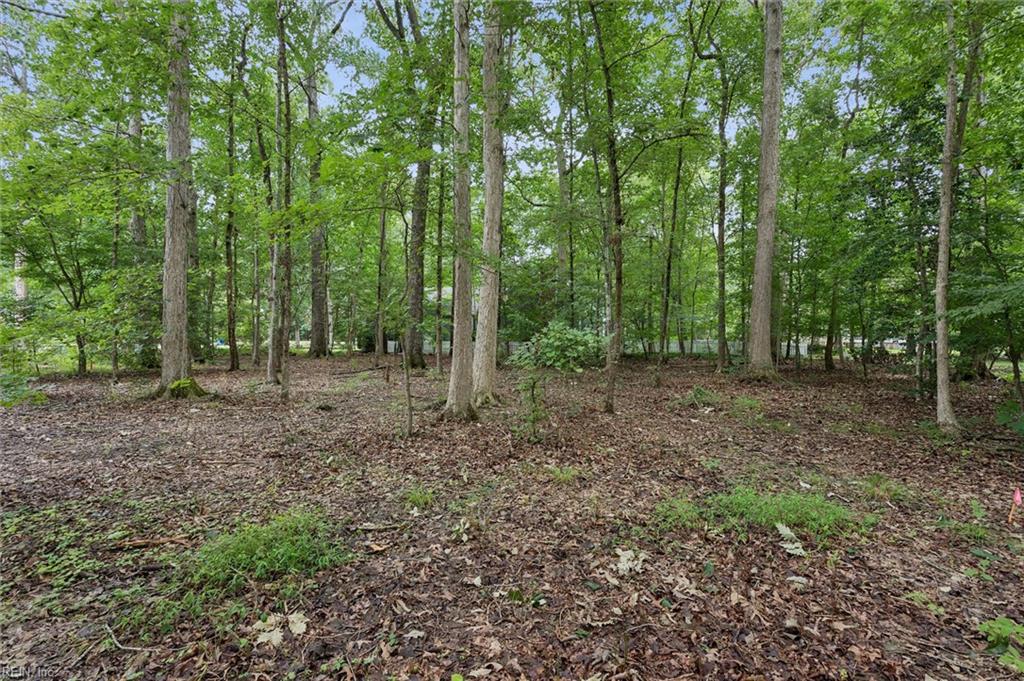 119 Rosemount Williamsburg VA 23188