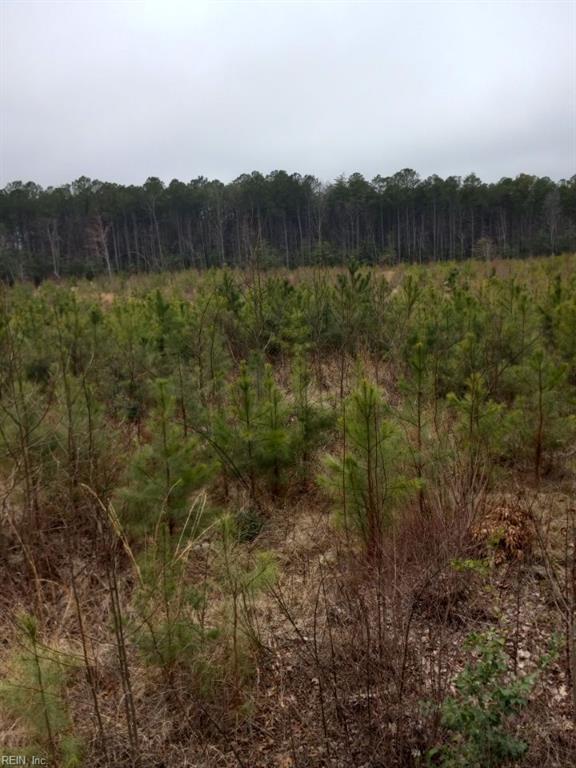 Lot 9 Saw Mill Lane Gloucester VA 23061