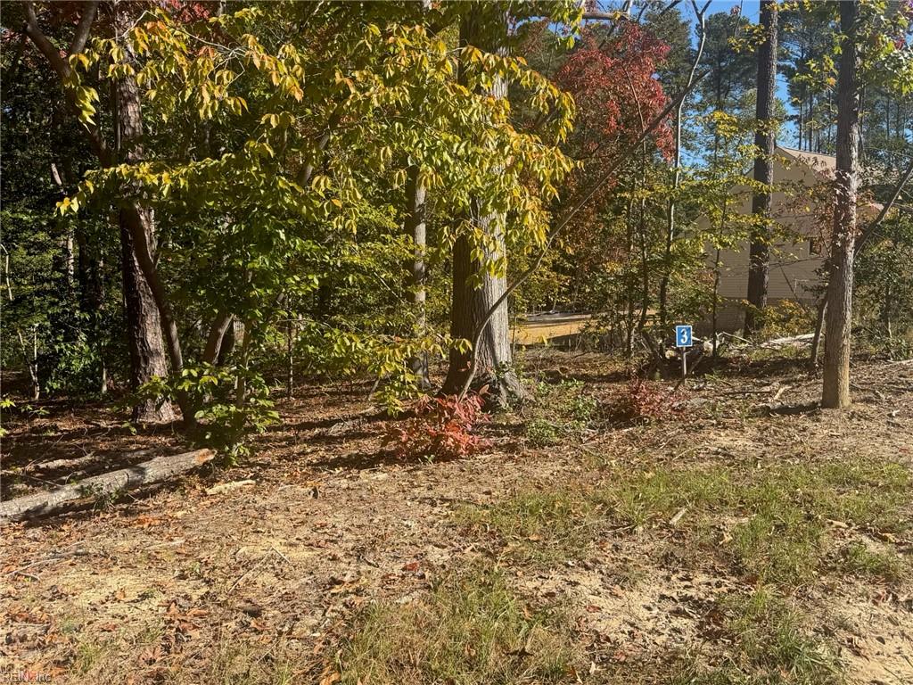 5349 Ridgewood Hills Drive Williamsburg VA 23188