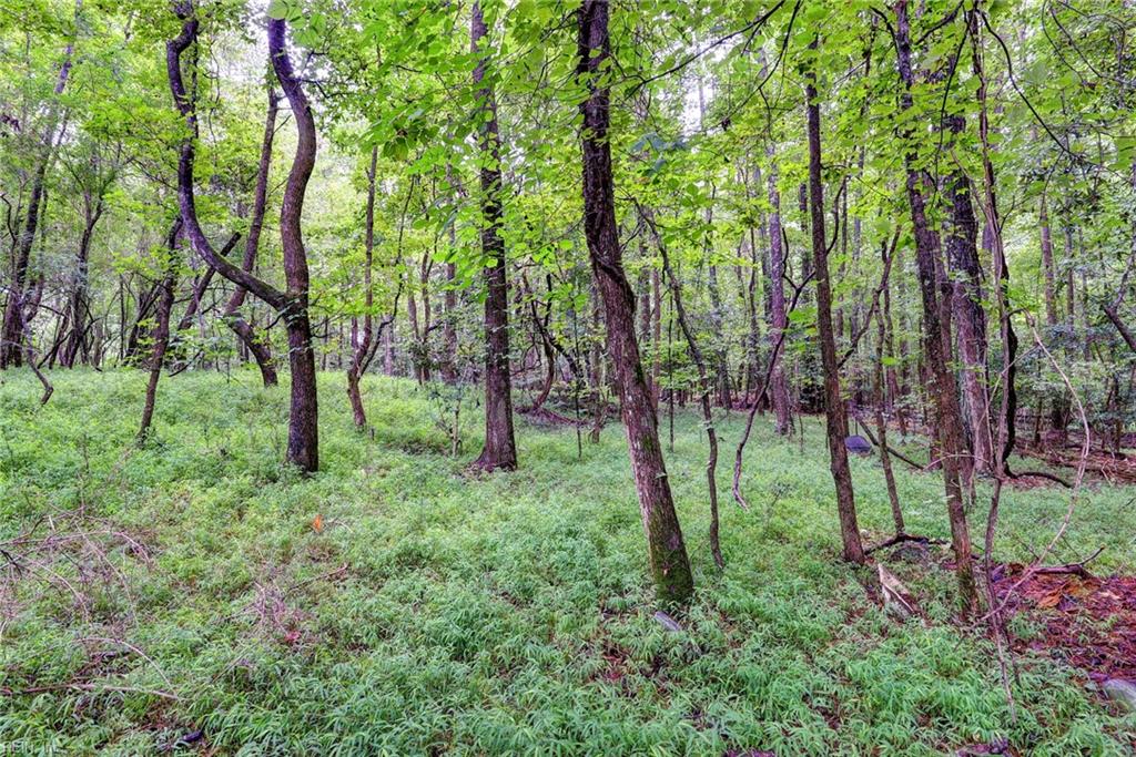 200 Jolly Pond Road Williamsburg VA 23188