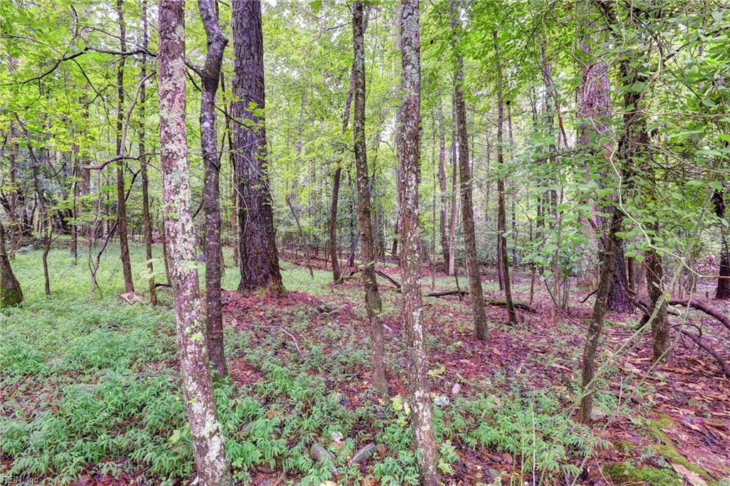 200 Jolly Pond Road Williamsburg VA 23188