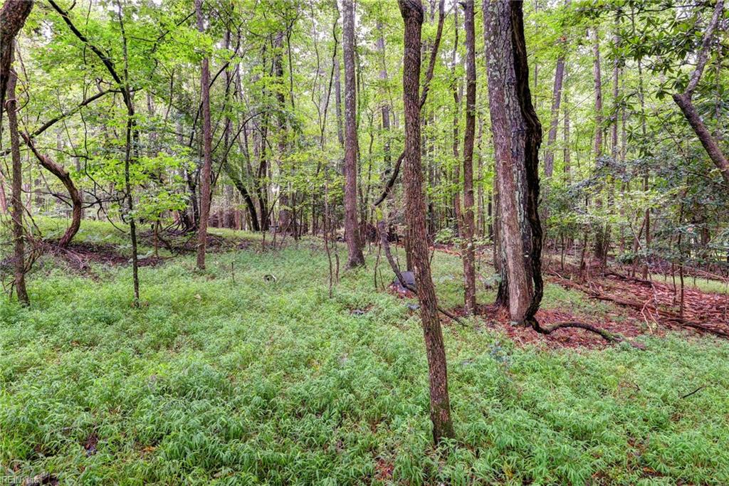 200 Jolly Pond Road Williamsburg VA 23188