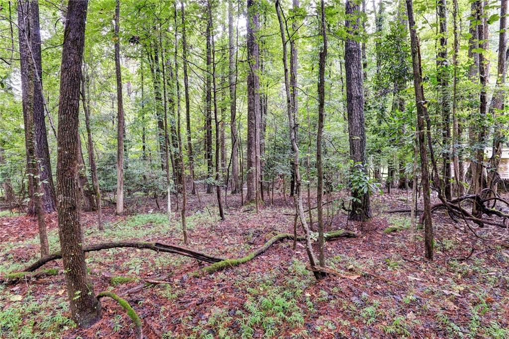 200 Jolly Pond Road Williamsburg VA 23188