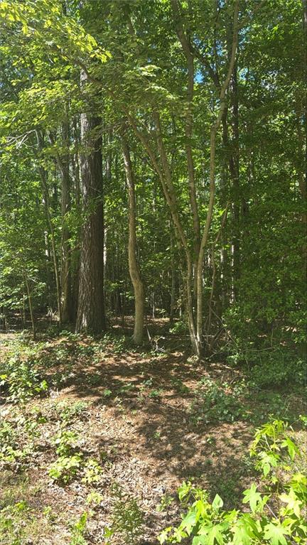 5.23ac New Hope Court Gloucester VA 23061