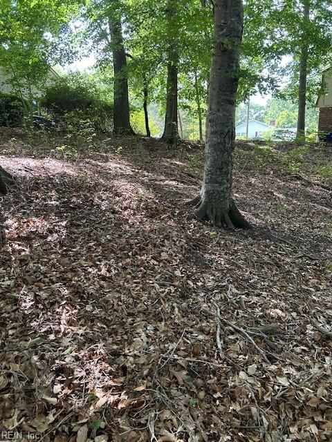 917 Lacon Drive Newport News VA 23608