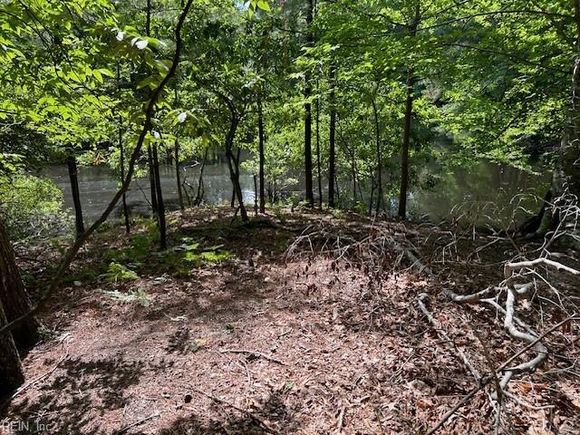 917 Lacon Drive Newport News VA 23608