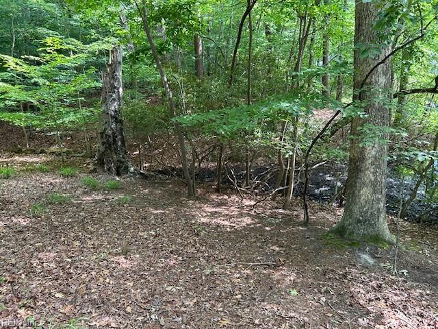 917 Lacon Drive Newport News VA 23608