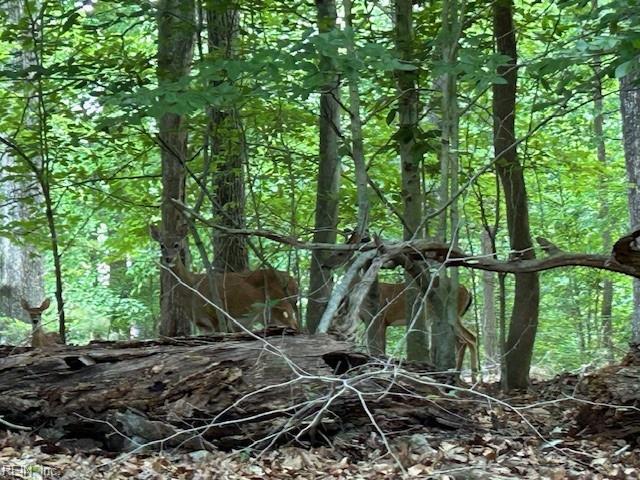 917 Lacon Drive Newport News VA 23608