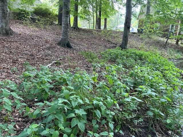 917 Lacon Drive Newport News VA 23608