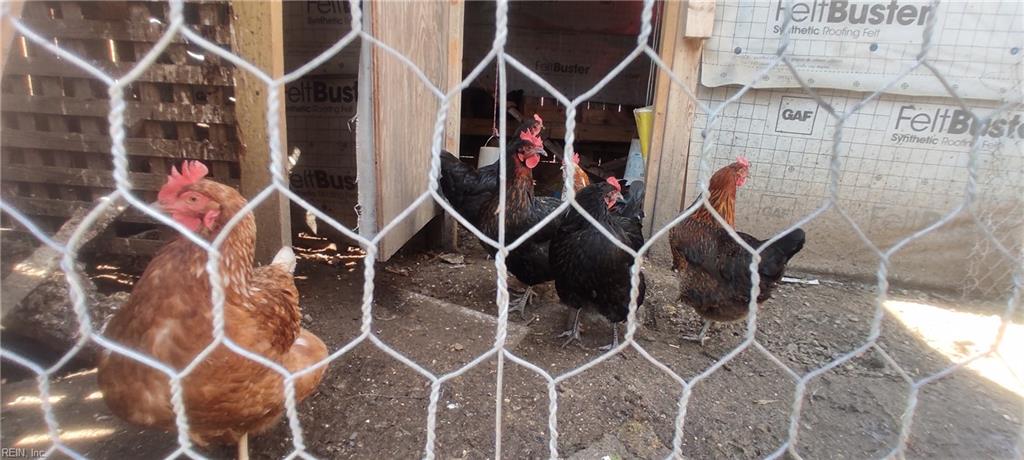 1116 Faubus Drive Newport News VA 23605