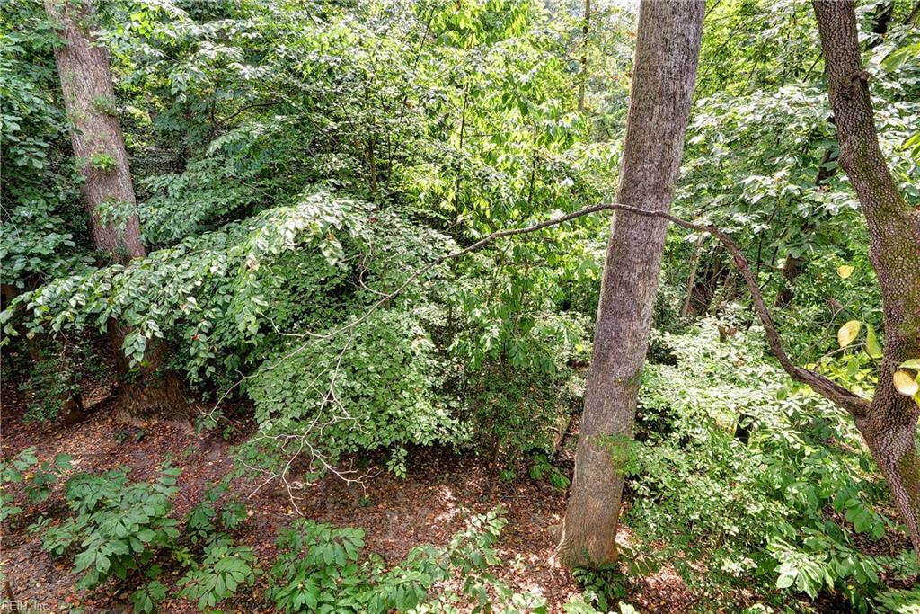 116 Cove Point Lane Williamsburg VA 23185