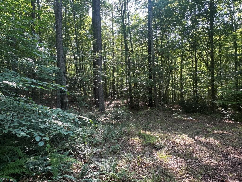 8811 Chipsin Path Gloucester VA 23061