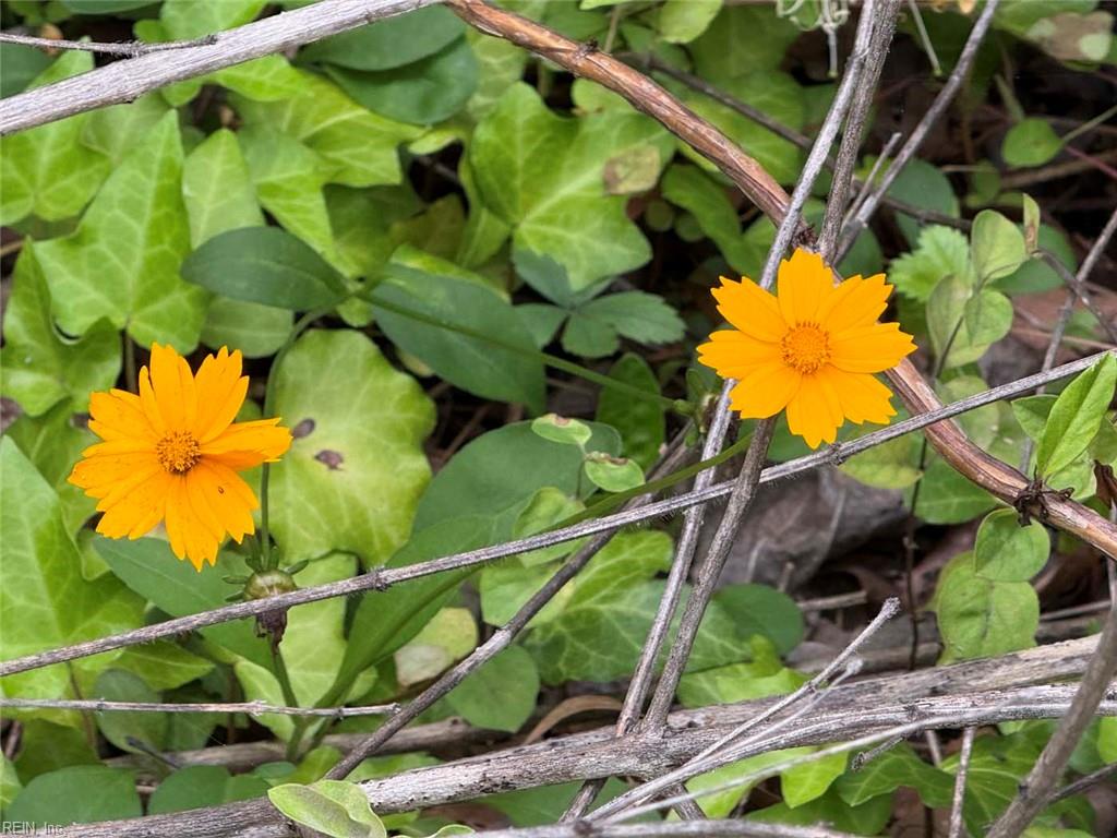 229 Tyler Brooks Drive Williamsburg VA 23185