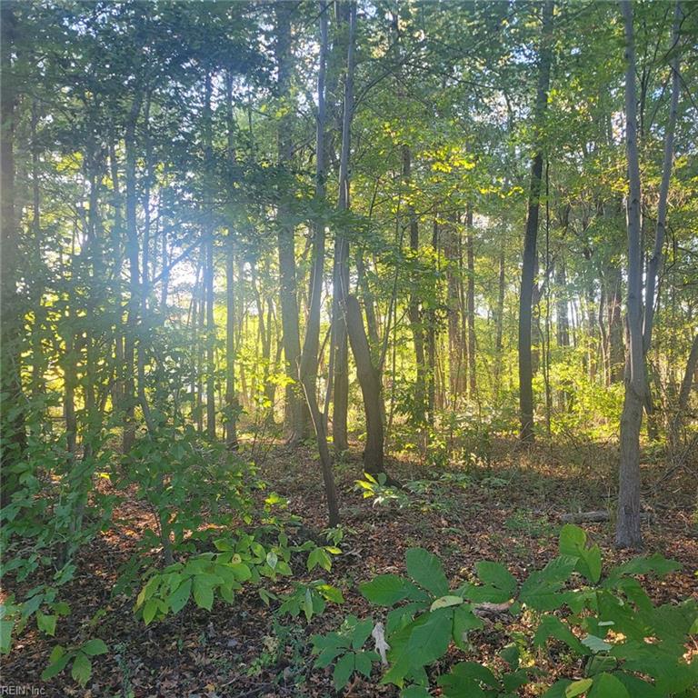 224 Dogwood Road Yorktown VA 23690