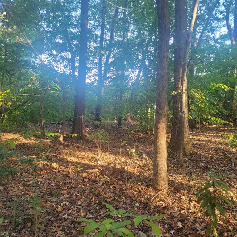 224 Dogwood Road Yorktown VA 23690