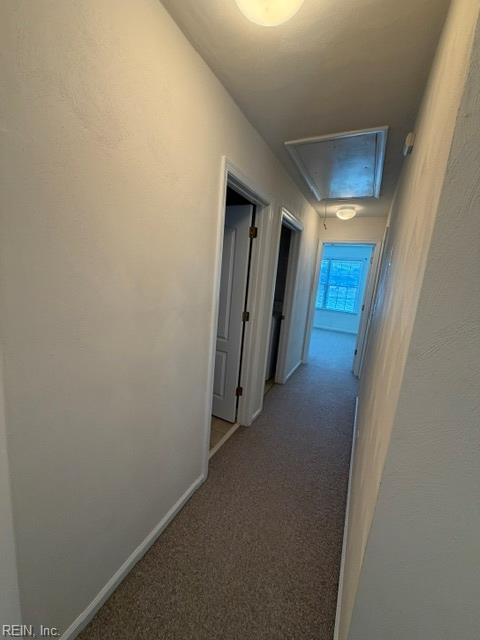 316 Hillside Terrace Newport News VA 23602