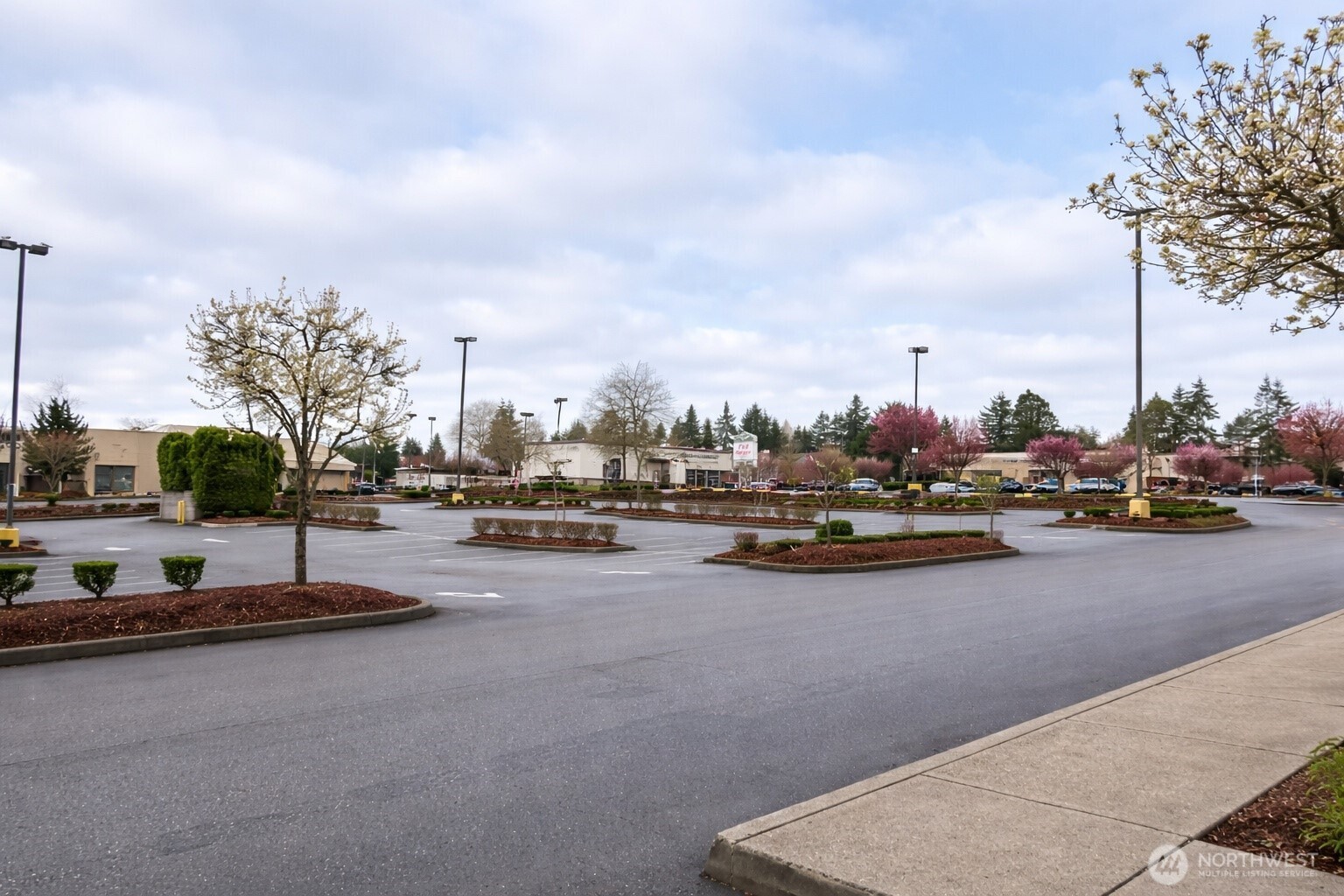 Tacoma WA 98465