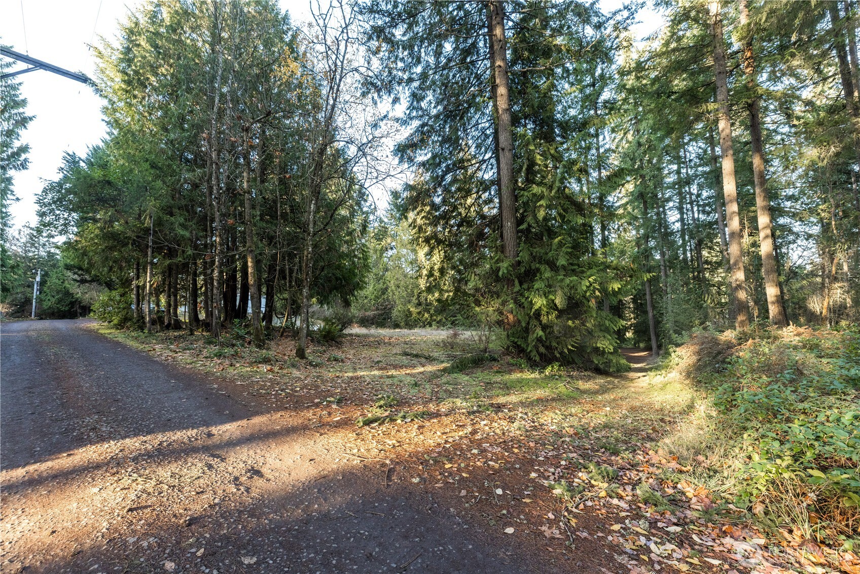 11656 Random Place NW Silverdale WA 98383