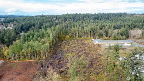 0 Goldie Road Oak Harbor WA 98277