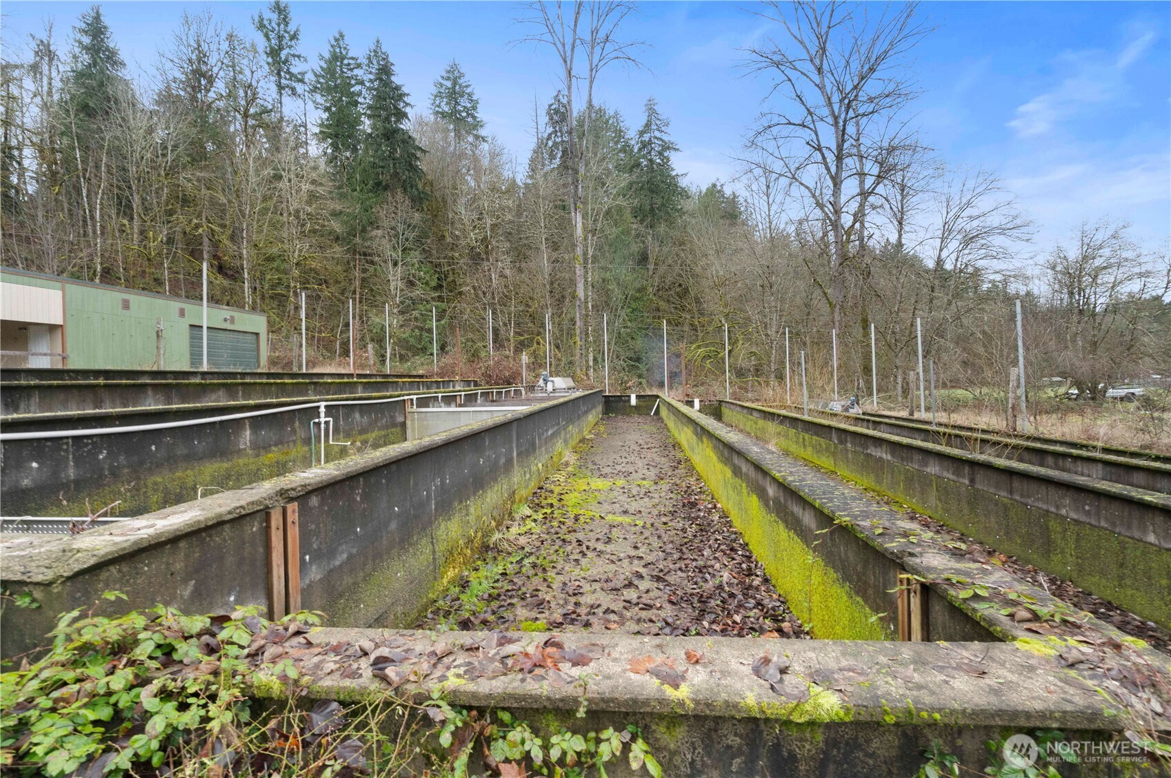 17612 219th Avenue E Orting WA 98360