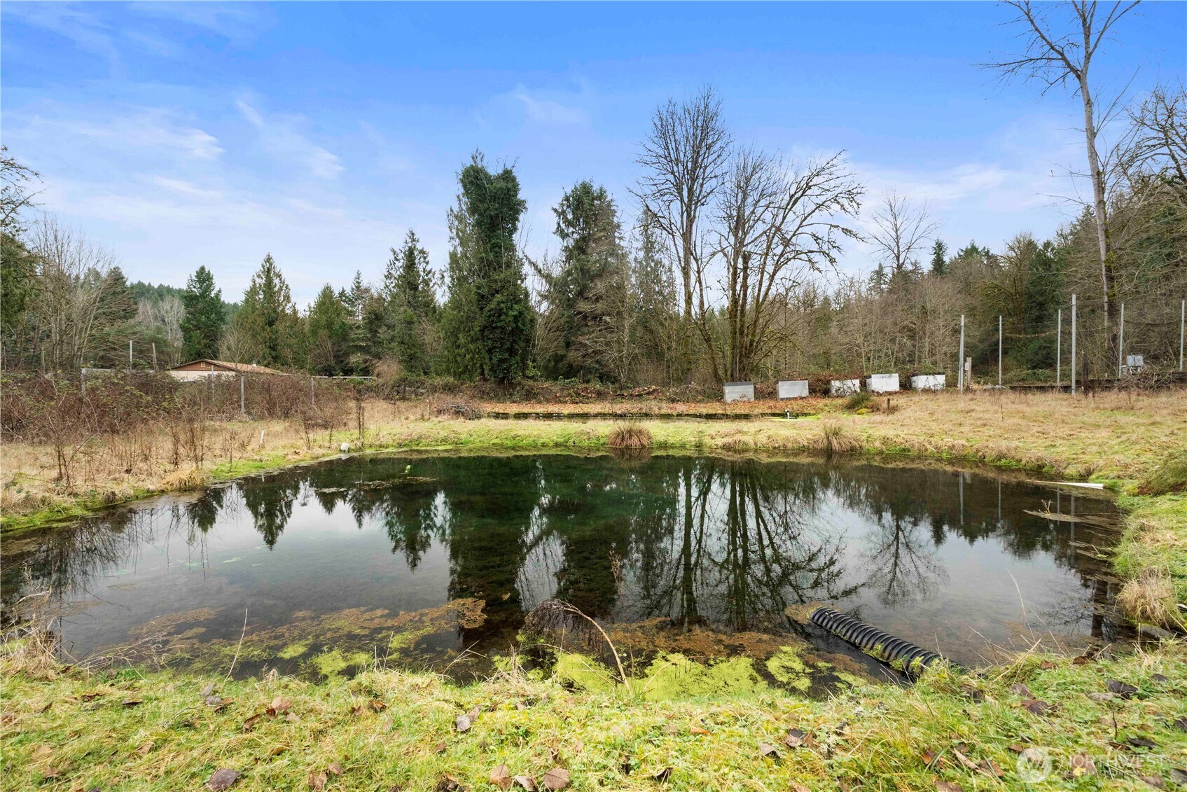 17612 219th Avenue E Orting WA 98360