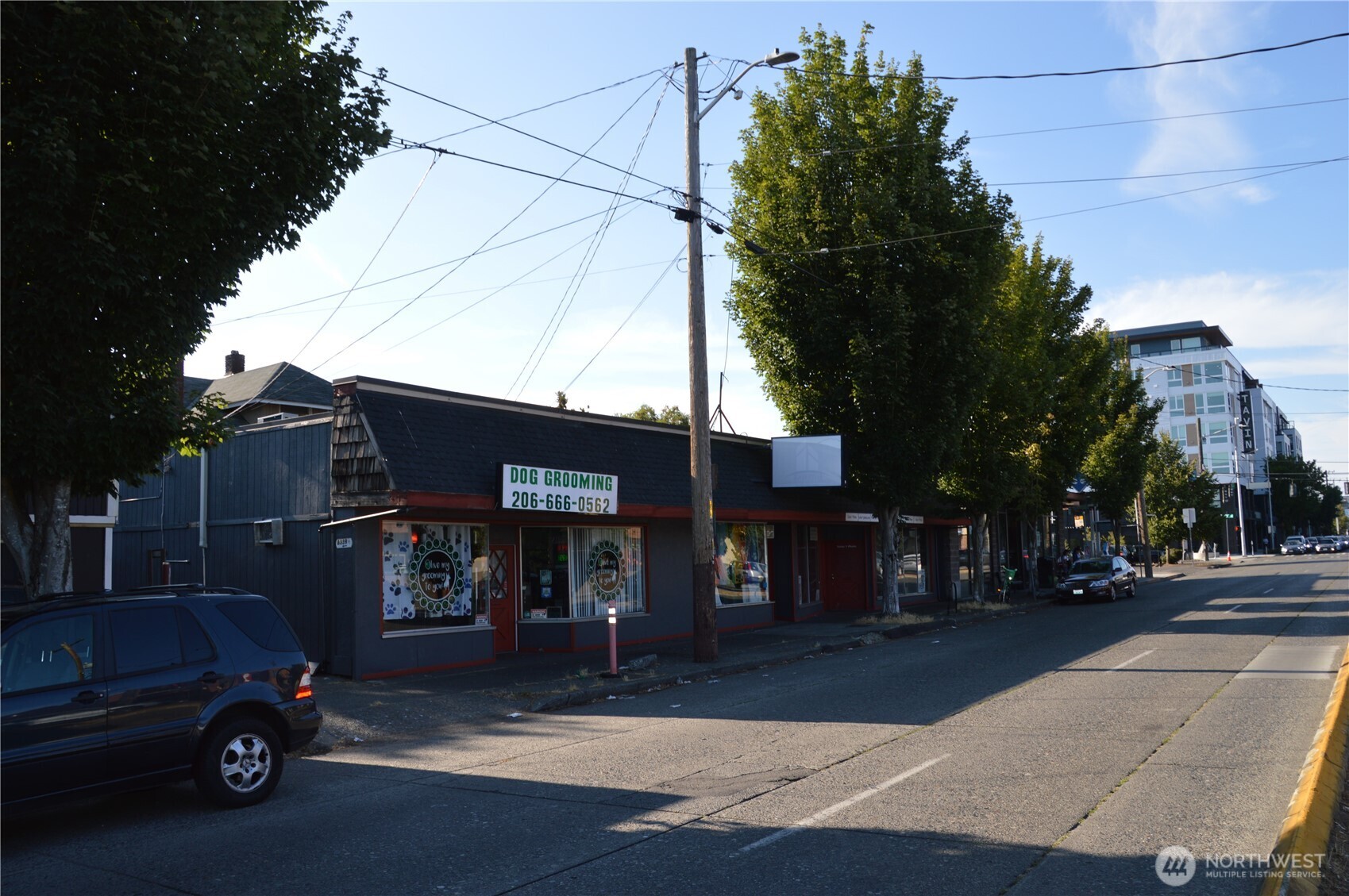 8337 15th Avenue NW Seattle WA 98117