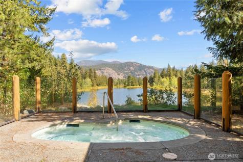 31 Early Winters Drive Mazama WA 98833