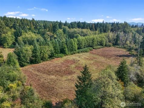 104 Bills Lane Onalaska WA 98570