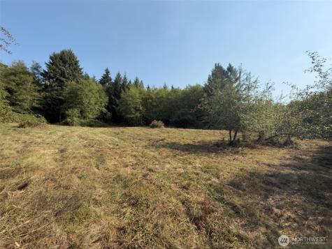 104 Bills Lane Onalaska WA 98570