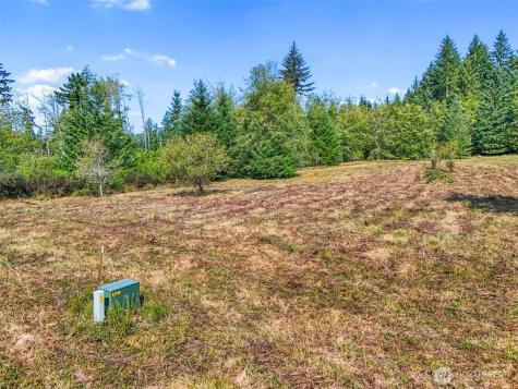 104 Bills Lane Onalaska WA 98570