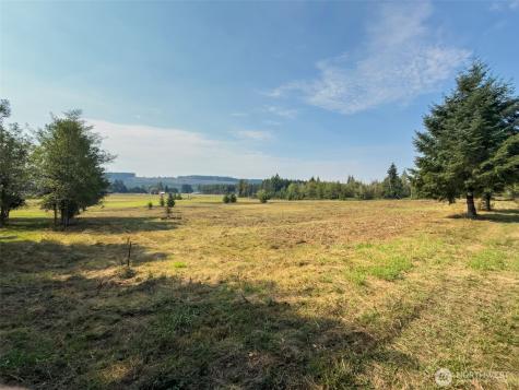 104 Bills Lane Onalaska WA 98570