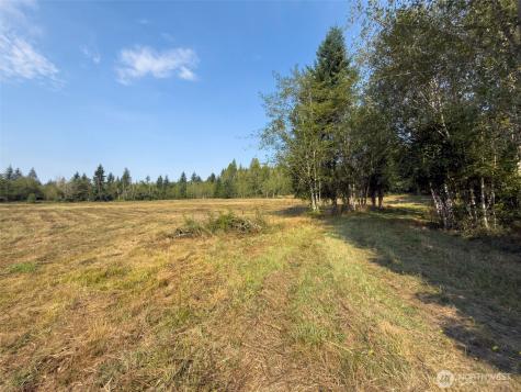 104 Bills Lane Onalaska WA 98570
