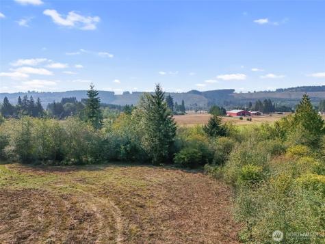 104 Bills Lane Onalaska WA 98570