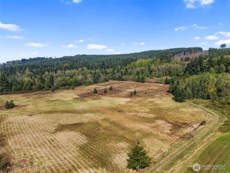 104 Bills Lane Onalaska WA 98570