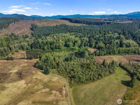 104 Bills Lane Onalaska WA 98570