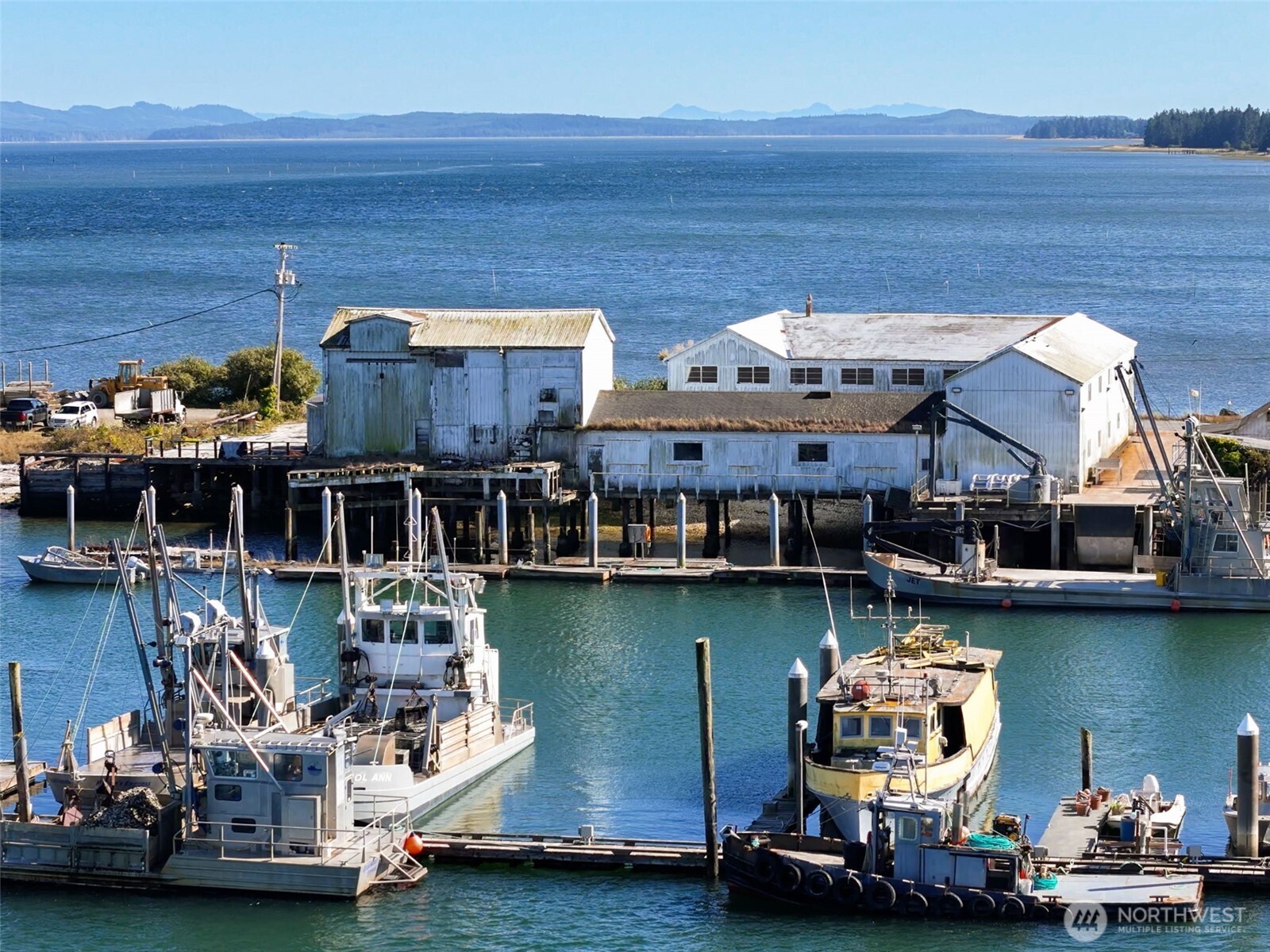1401 Bay Avenue Ocean Park WA 98640
