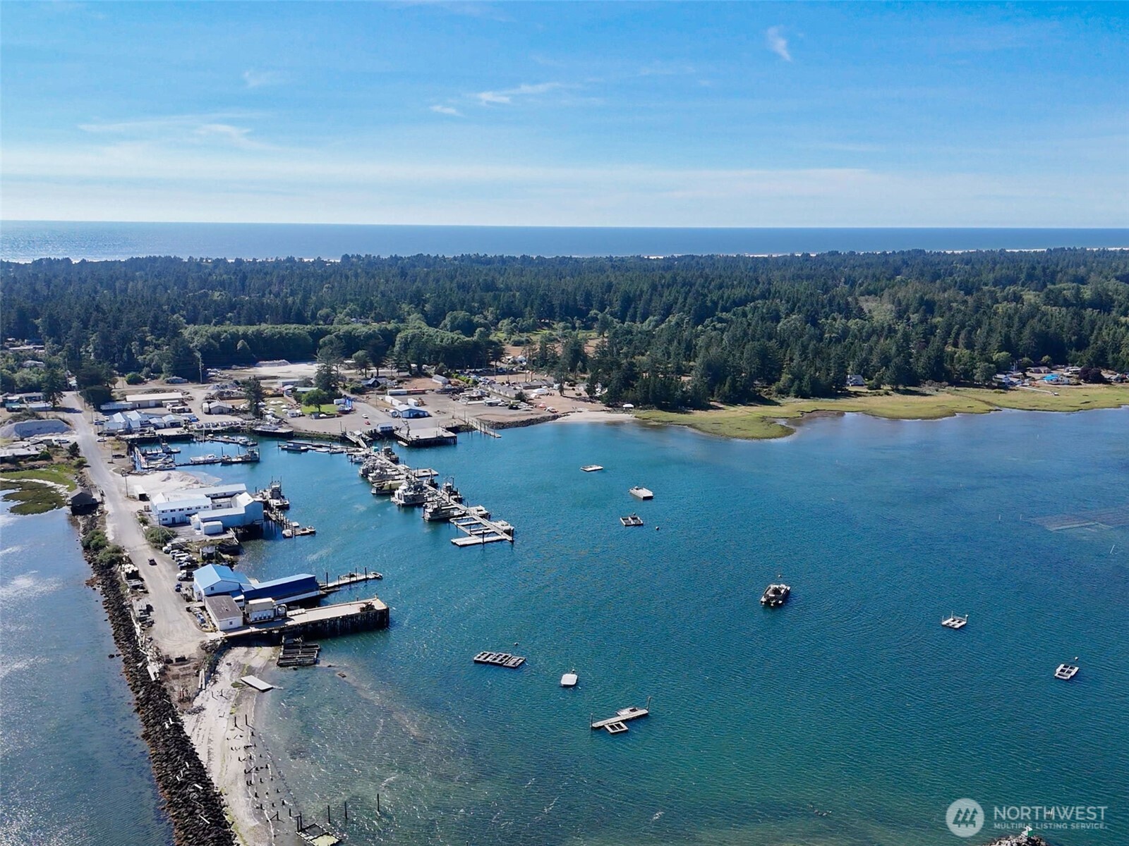 1401 Bay Avenue Ocean Park WA 98640