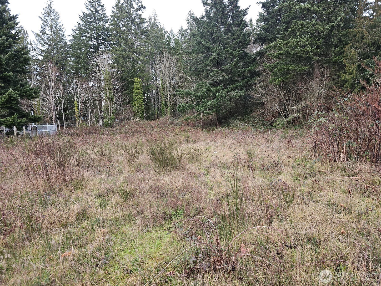 41 NE Byerly Drive Belfair WA 98528