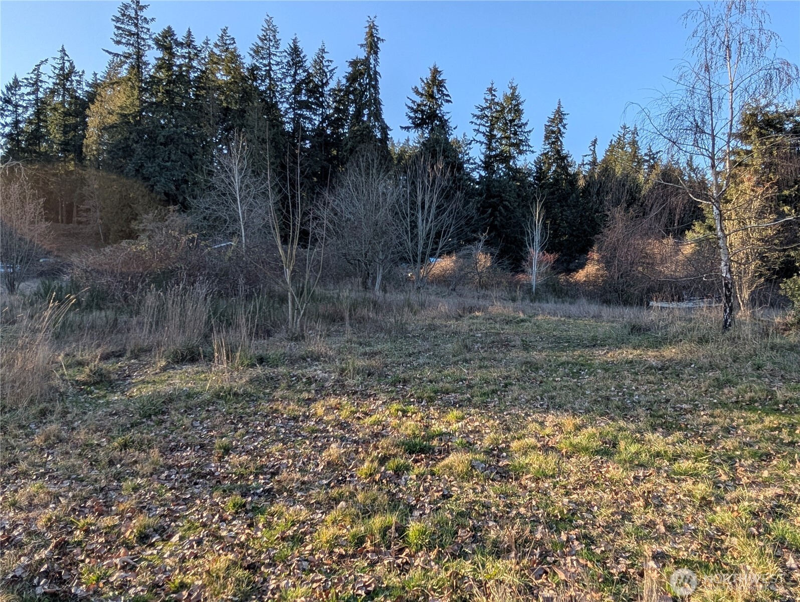 8208 Canyon Road E Puyallup WA 98371