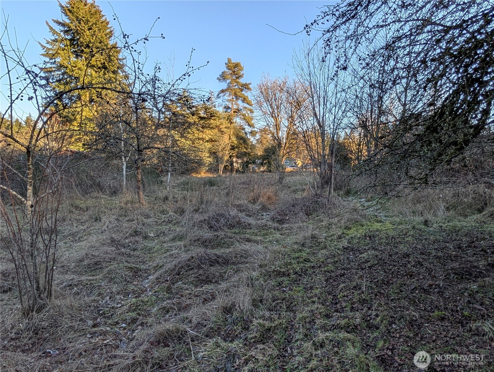 8208 Canyon Road E Puyallup WA 98371