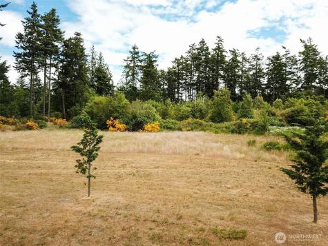 0 Goldie Road Oak Harbor WA 98277